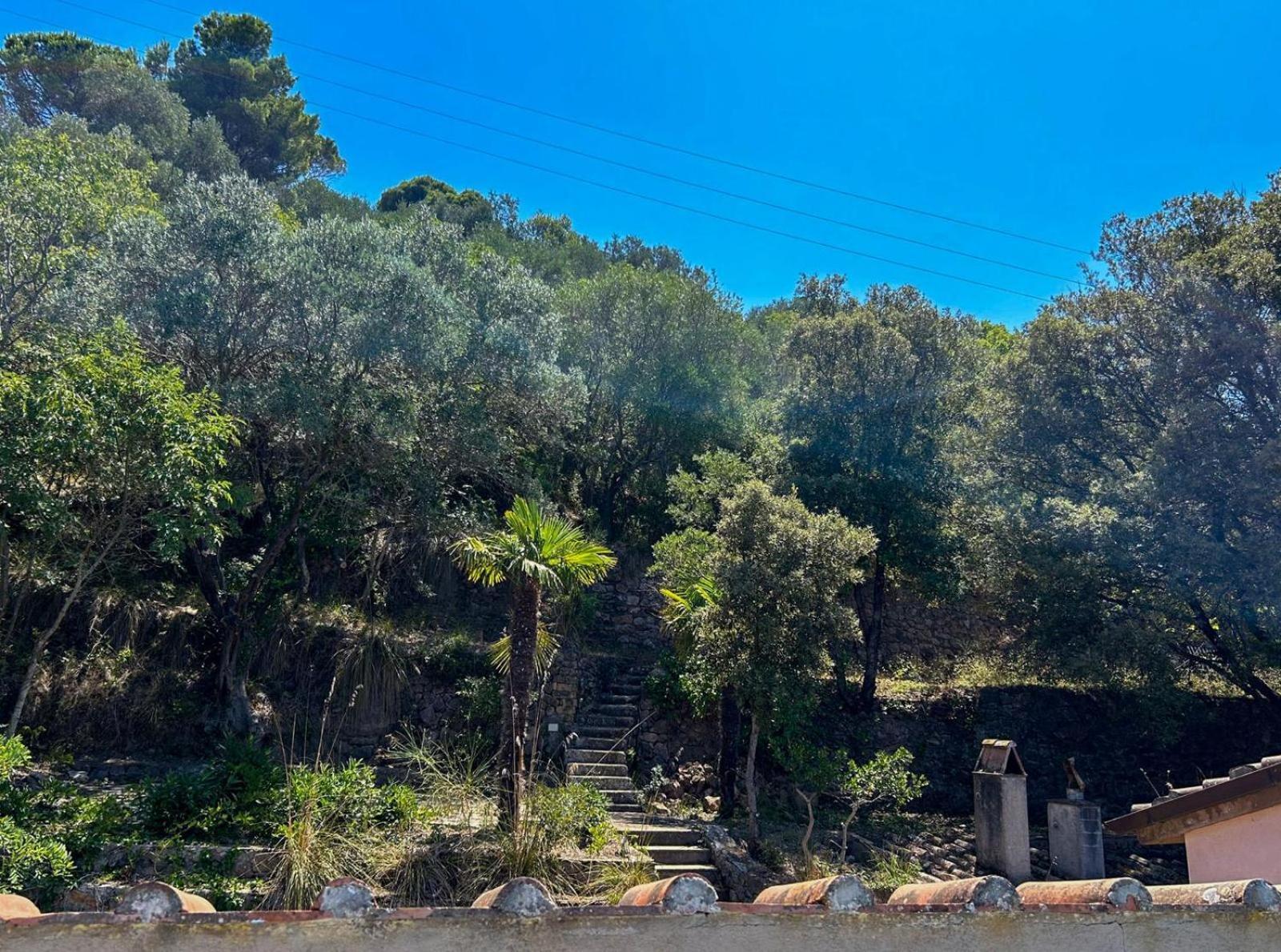 Villa Velta Sea Sunset Porto Santo Stefano  Ngoại thất bức ảnh