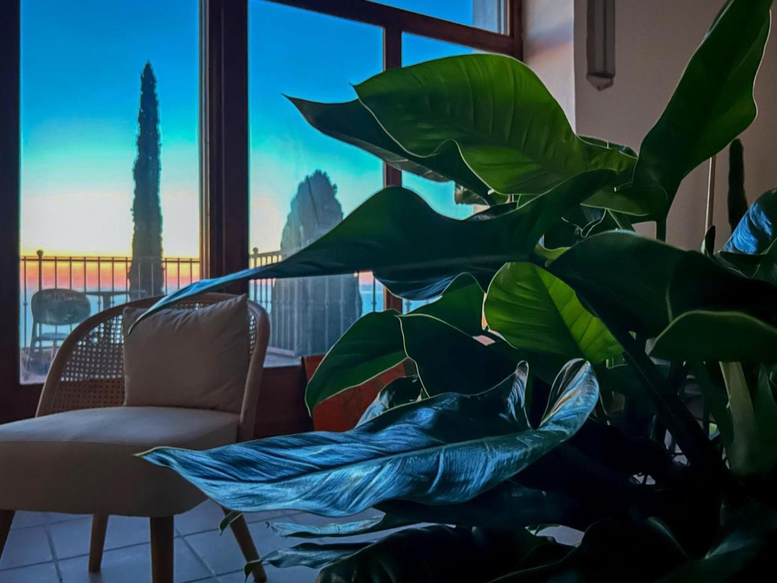 Villa Velta Sea Sunset Porto Santo Stefano  Ngoại thất bức ảnh